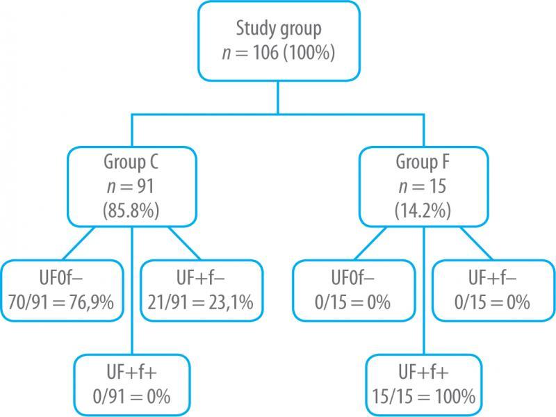 Classification of patients based on postoperative symptoms of SUI and urethral funneling. C – cured, F – failed, UF0f- – ultrasound: no urethral funneling, no urine flow; UF+f- – ultrasound: funneling present, no urine flow (short funneling); UF+f+ – ultrasound: funneling present, urine flow present (long funneling)