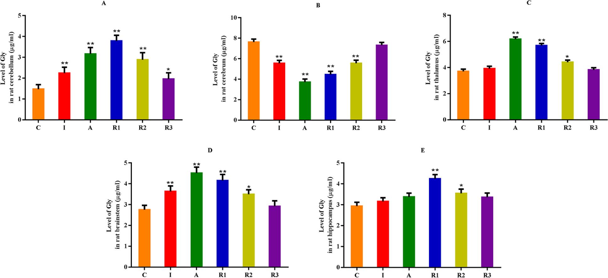 The effect of low-dose xylazine anaesthesia on Gly neurotransmitters in rat brain. C – control group, I – induction period, A – anaesthesia period, R1 – recovery period (group R1), R2 – recovery period (group R2), R3 – recovery period ( group R3). ∗P < 0.05; ∗∗P < 0.01