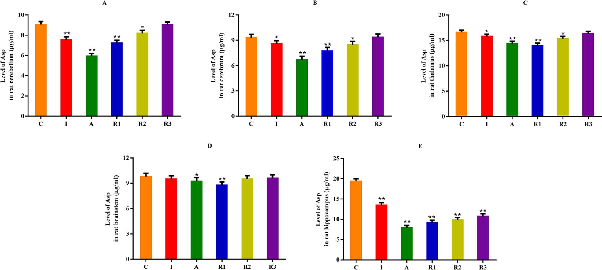 The effect of low-dose xylazine anaesthesia on Asp neurotransmitters in rat brain. C – control group, I – induction period, A – anaesthesia period, R1 – recovery period (group R1), R2 – recovery period (group R2), R3 – recovery period (group R3). ∗P < 0.05; ∗∗P < 0.01