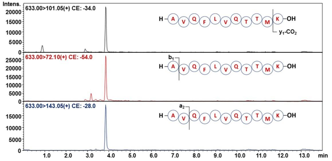 Multiple reaction monitoring (MRM) chromatograms for the analysis of an H-AAEILAATPAAVQLR-OH peptide, which is a fragment of canine podocin in urine sediment. The retention time of 3.78 min corresponds to the studied compound. The presence of an additional signal at 3.32 min is associated with the presence of cis-trans isomerism of the proline residues (29)
