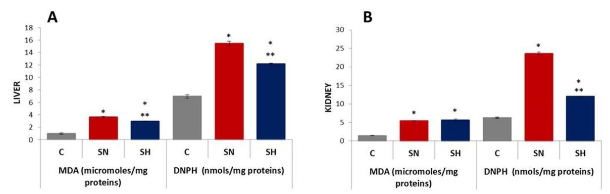 GPx and SOD activity in the liver (A) and kidneys (B) for each experimental condition (C – control; SN – sepsis normothermic; SH – sepsis hypothermic). * – different from control (p < 0.05); ** – different from SN (p < 0.05). Values are expressed as means ± SD