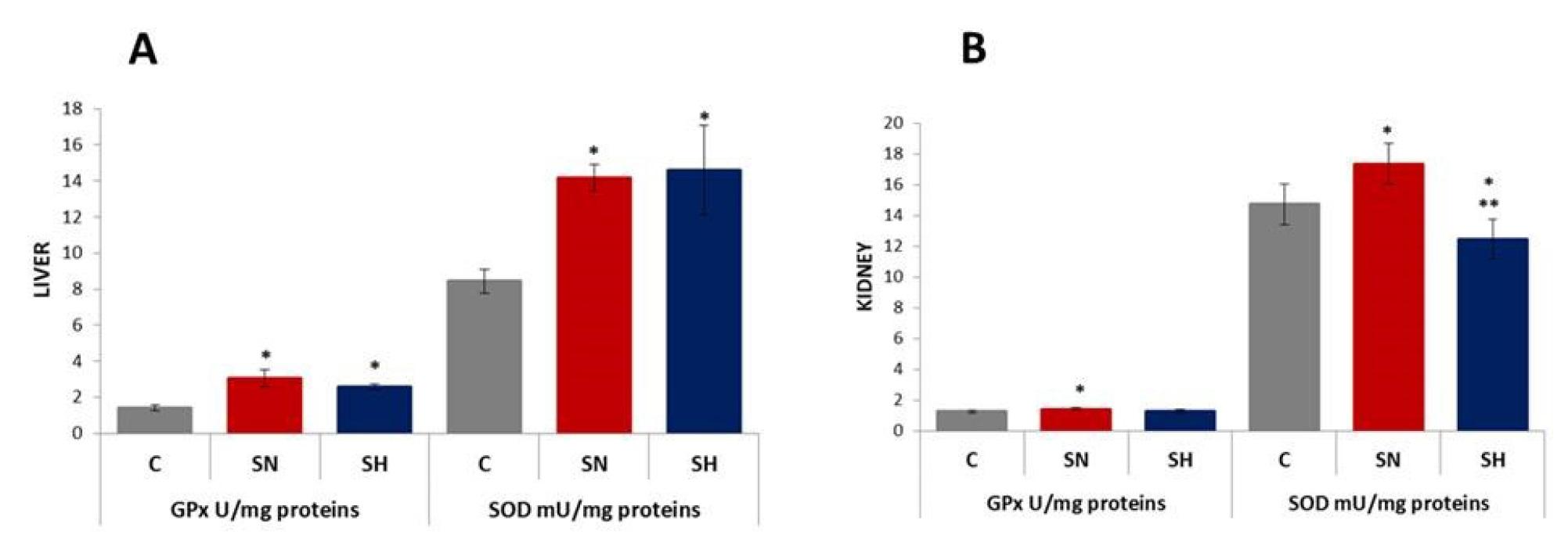 MDA and DNPH concentrations in the liver (A) and kidneys (B) for each experimental condition (C – control; SN – sepsis normothermic; SH – sepsis hypothermic). * – different from control; ** – different from SN (p < 0.05). Values are expressed as means ± SD