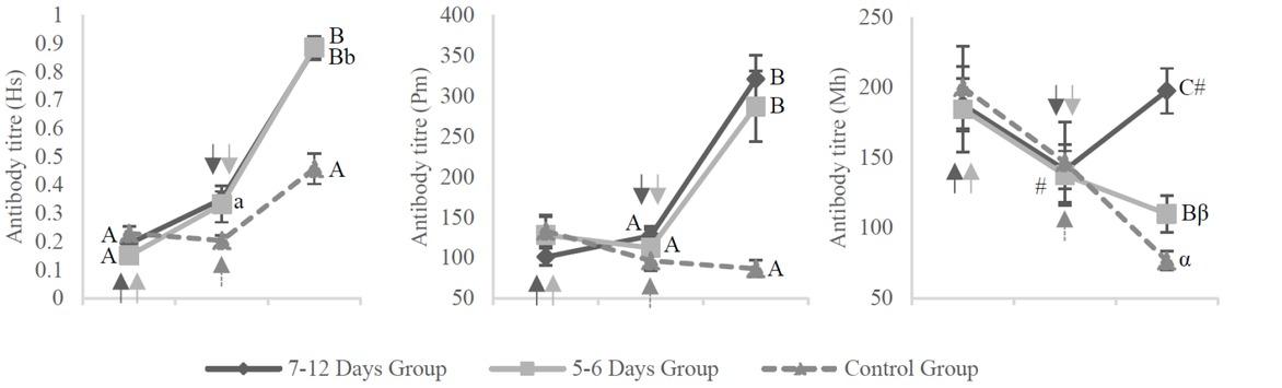 Antibody response to the vaccination among calves of different ages at the primary dose Antibody titres against H. somni (Hs), P. multocida (Pm), and M. haemolytica (Mh) of calves which received the primary vaccination at the age of 7–12 days (7–12 day group) and 5 or 6 days (5–6 day group). Calves were also vaccinated 2, 3, or 4 weeks later. A, B, C – P < 0.01; a, b – P < 0.05; # – P = 0.051; α, β – 0.073; arrows – time of vaccination