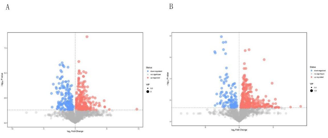 Volcano map of NEG (A) and POS (B) modes differential metabolite screeningThe abscissa represents the fold-change of the group comparing each substance (taking the logarithm base 2). The ordinate represents the P-value of the Student’s t-test (taking the negative logarithm base 10)