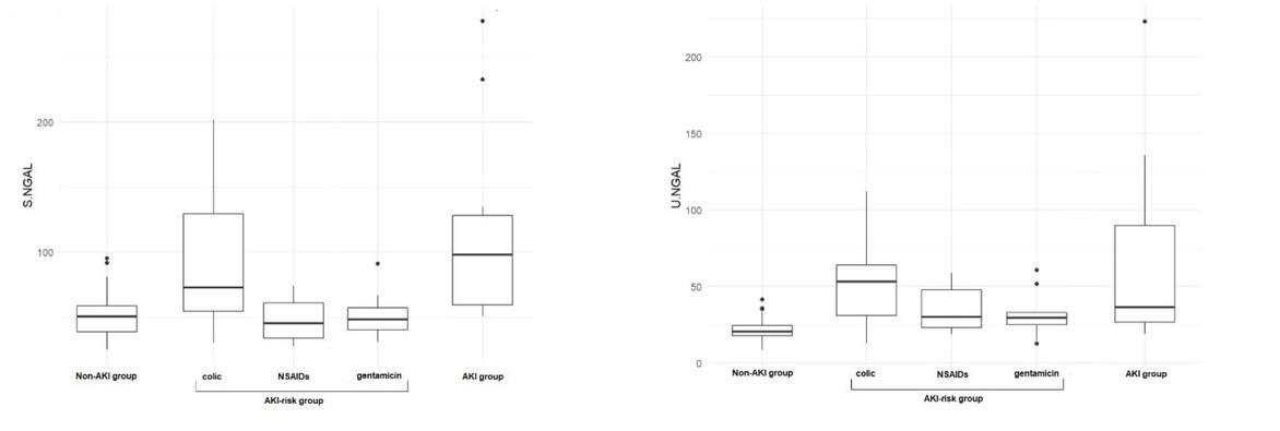Results of serum (S) and urinary (U) neutrophil gelatinase-associated lipocalin (NGAL) in healthy horses (non-acute kidney injury (AKI) group), horses at risk of acute kidney injury (AKI-risk group; divided into colic sufferers, recipients of nonsteroidal anti-inflammatory drugs (NSAIDs) and recipients of gentamicin) and horses diagnosed with acute kidney injury (AKI group)