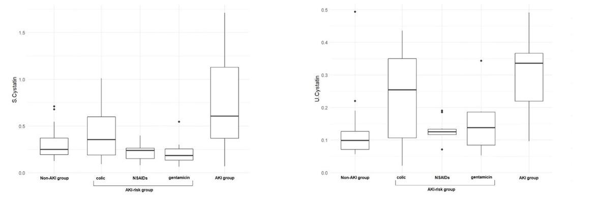 Results of serum (S) and urinary (U) cystatin C in healthy horses (non-acute kidney injury (AKI) group), horses at risk of acute kidney injury (AKI-risk group; divided into colic sufferers, recipients of nonsteroidal anti-inflammatory drugs (NSAIDs) and recipients of gentamicin) and horses diagnosed with acute kidney injury (AKI group)
