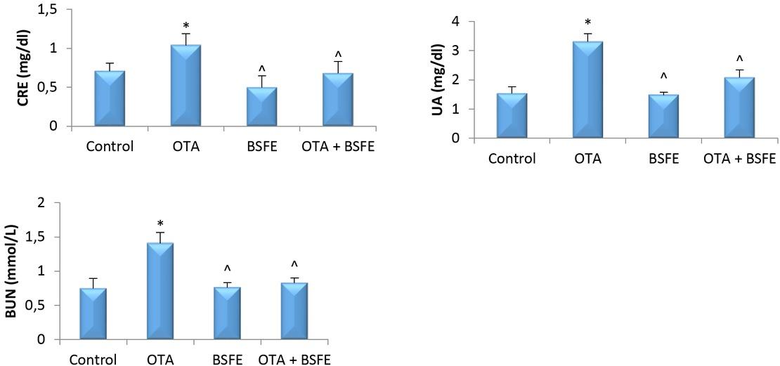 Analysis of serum metabolic wastes in chickens after exposure to ochratoxin A (OTA) and/or Bacillus subtilis fermentation extract (BSFE) (n = 5 birds/group)CRE – creatinine; UA – uric acid; BUN – blood urea nitrogen; * – P < 0.05 versus control group; ^ – P <0.05 versus OTA group