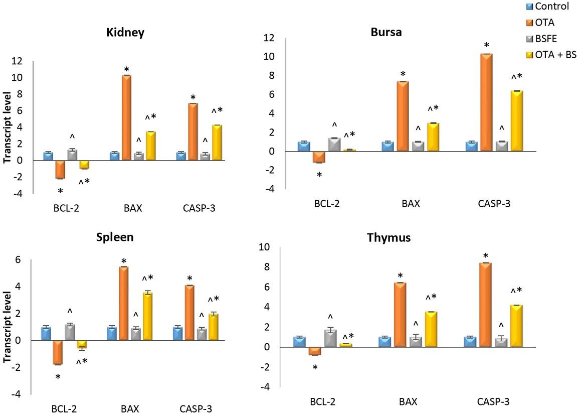 Impacts of ochratoxin A (OTA) and/ or Bacillus subtilis fermentation extract (BSFE) on gene expression levels of apoptosis-related genes in different tissues of broiler chickens (n = 3 birds/ group)BCL-2 – B-cell lymphoma 2 protein; BAX – BCL-2-associated X protein; CASP-3 – caspase 3; * – P < 0.05 versus control group; ^ – P < 0.05 versus OTA group