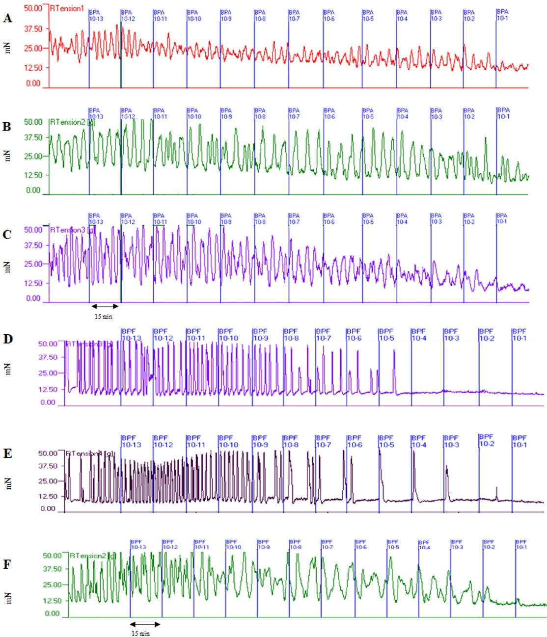Representative diagrams showing contractile activity of the myometrial strips collected from immature pigs (A and D), cyclic pigs on days 12–14 of the oestrous cycle (B and E) and early pregnant pigs on days 12–16 of pregnancy (C and F) and treated with bisphenol A (BPA) and bisphenol F (BPF) at concentrations of 10−13 –10−1 mol/L