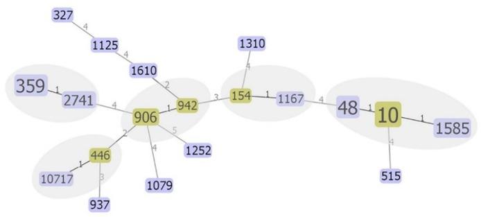 Full minimum spanning tree using the goeBURST algorithm (n = 40). Each square represents a single sequence type (ST), and the circumference is proportional to the number of isolates within each ST. Grey regions represent a clonal complex. The numbers above the lines (1–5) represent the number of different alleles between the two ST types. The major nodes are indicated by in olive green