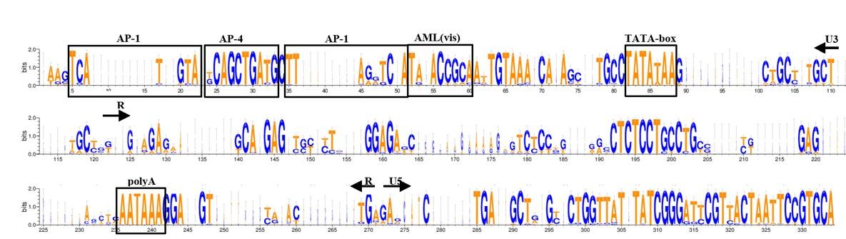 WebLogo for alignment of long terminal repeat sequences of small ruminant lentivirus strains belonging to groups A, B, C and D. The heights of the letters are a measure of how well conserved the residues are. The boundaries between U3, R and U5 are indicated by arrows. Transcription factor AML (vis), AP-1, AP-4 TATA box and polyadenylation signal (poly A) binding sites are shown in boxes