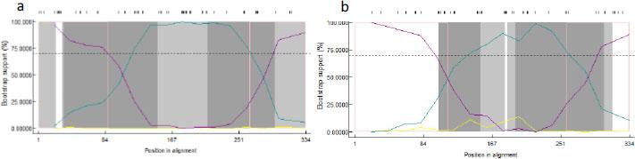 The BootScan analysis of recombination in the alignments. The analysis was performed with the pairwise distance model with a window size of 200, step size of 20 and 1,000 bootstrap replicates by the RPD4 program. a – recombination even in almost all subtype A12 strains; b – recombination event in all subtype A5 strains