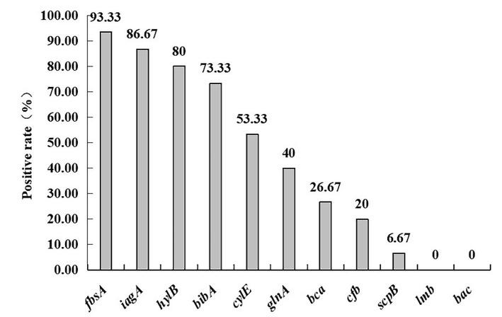 Positive rate of S. agalactiae resistance genes