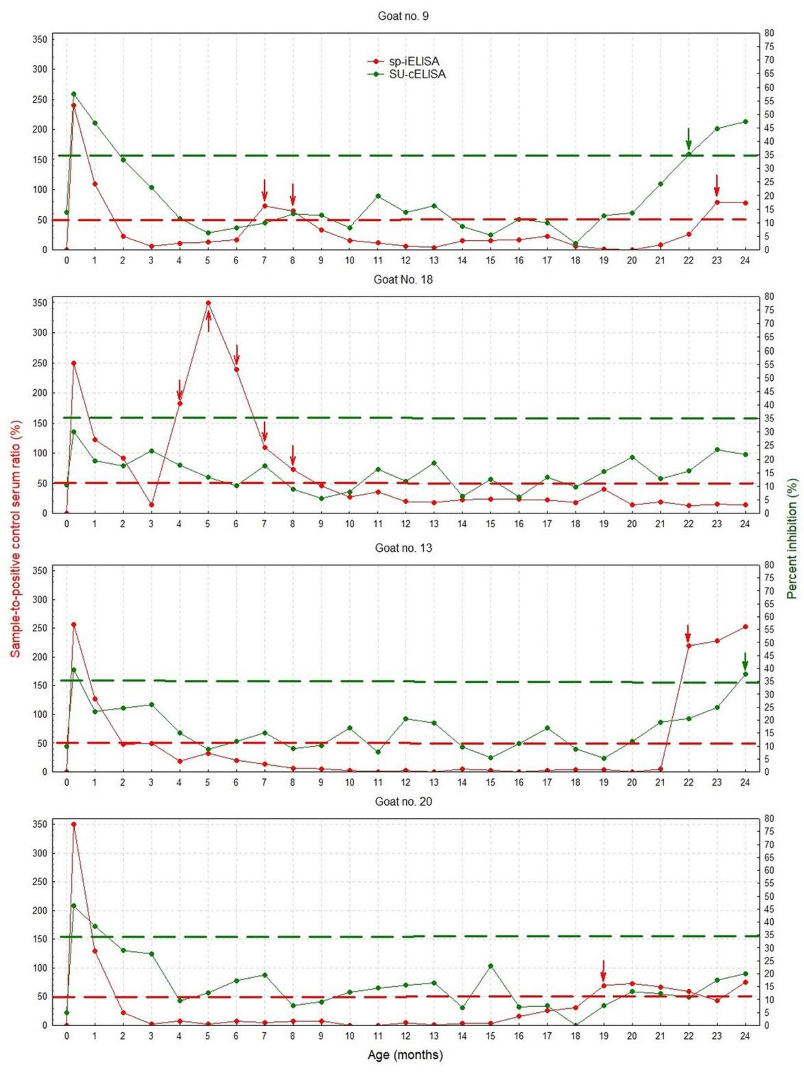 Quantitative results of an indirect ELISA based on synthetic viral peptides (sp-iELISA; sample-to-positive control serum ratio, S/P%) and a competitive ELISA based on surface glycoprotein (SU-cELISA; percent inhibition, PI) in intermittent (goat no. 9 and goat no. 18) and late seroreactors (goat no. 13 and goat no. 20). Dashed lines indicate the manufacturer’s cut-off value used to interpret the results of the sp-iELISA (red; S/P% = 50%) and the SU-cELISA (green; PI = 35%). The arrows indicate the first positive result of the sp-iELISA (red) and the SU-cELISA (green) or the times at which an intermittent seroreactor was seropositive