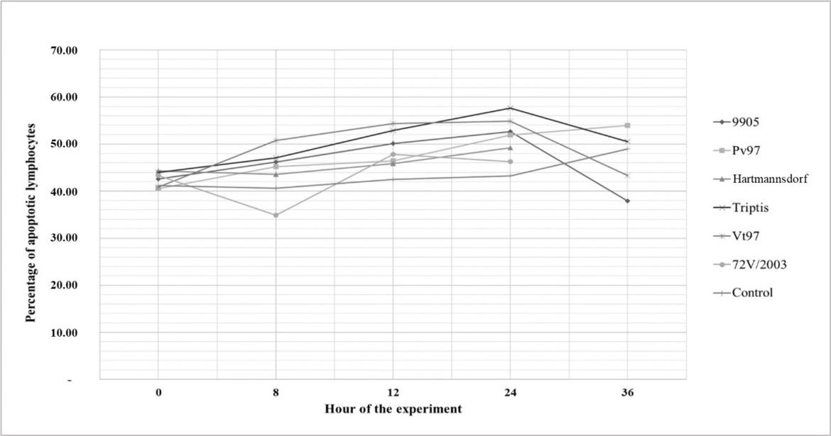 Percentage of apoptotic lymphocytes in rabbits experimentally infected with L. europaeus/GI.1a virus (RHDVa)