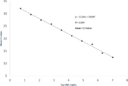 Standard curves of the TaqMan probe–based qPCR assays showing amplification of successive fivefold dilutions of Leptospira interrogans genomic DNA. R2 – coefficient of regression; Ct – cycle threshold
