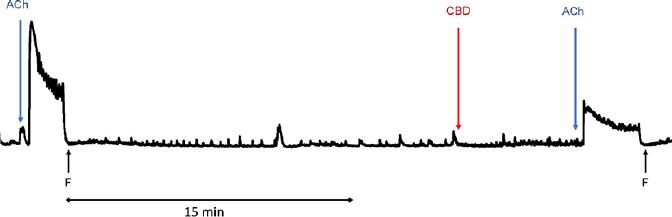 Example recording of a rat distal colon strip’s reactivity to acetylcholine (ACh) in the presence of modified Krebs–Henseleit solution (control reaction) and cannabidiol (CBD). F – flushing