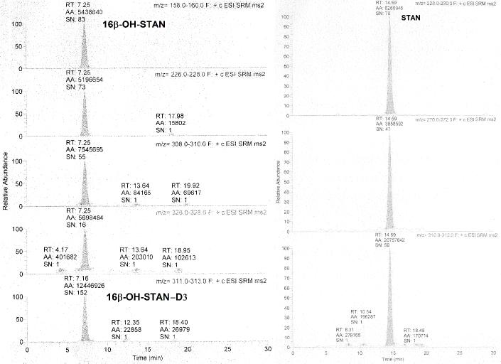 Liquid chromatography-tandem ion trap mass spectrometry selected reaction monitoring (SRM) chromatograms of bovine urine samples spiked with 16β-OH-stanozolol (16β-OH-STAN) and stanozolol (STAN) at 2 μg L−1