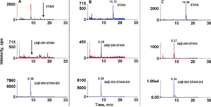 Liquid chromatography-tandem triple quadrupole mass spectrometry multiple reaction monitoring chromatograms of A - a pig blank urine sample; B - a pig urine sample spiked with stanozolol (STAN) and 16β-OH-stanozolol (16β-OH-STAN) at 0.5 μg L−1; C - a pig urine sample spiked with STAN and 16β-OH-STAN at 2 μg L−1