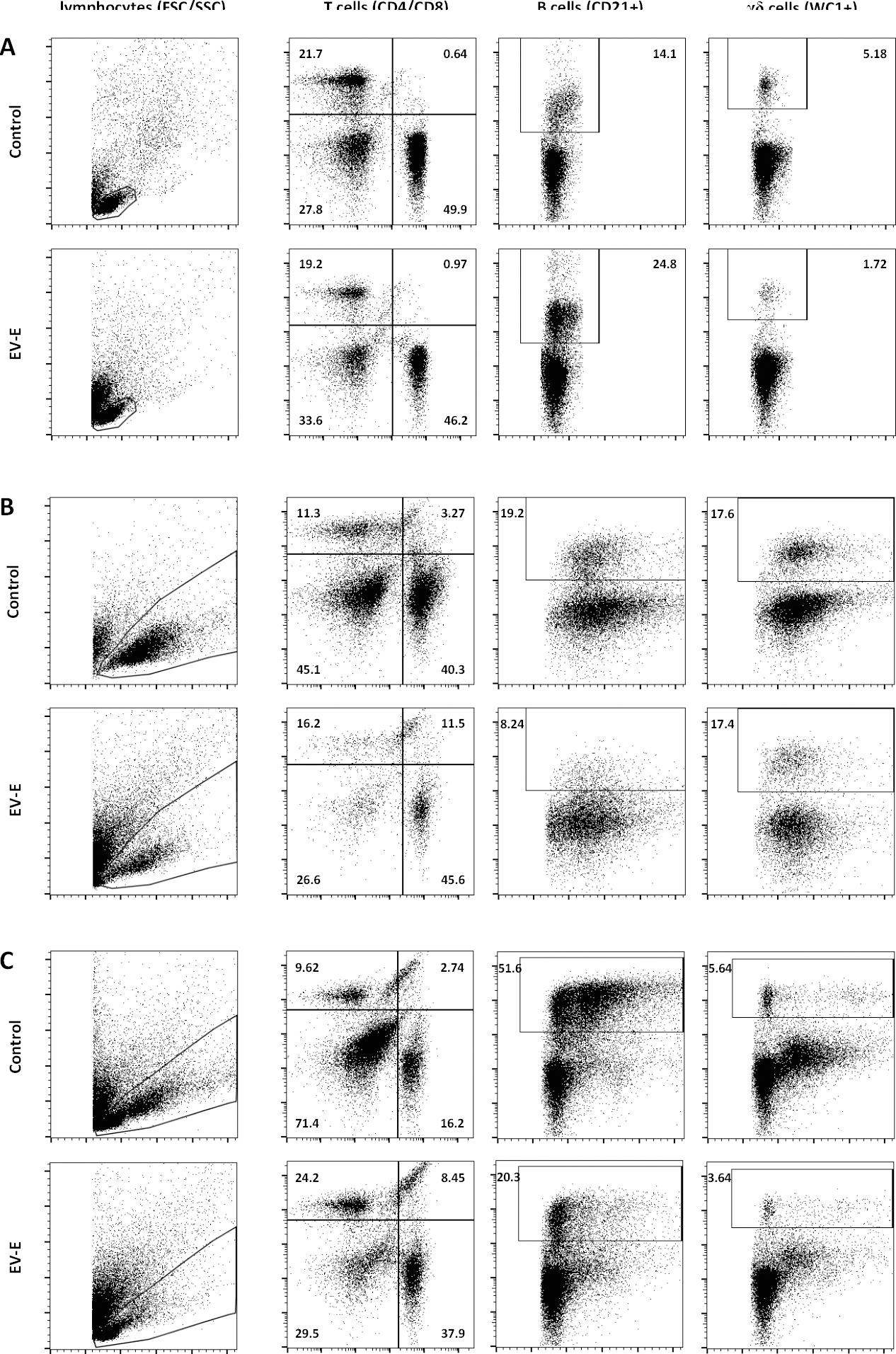 Representative dot plot cytograms showing distribution of the main lymphocyte subsets of bovine peripheral blood mononuclear cells after 72 h incubation with a high infectious dose of enterovirus E (EV-E): panel (A) unstimulated cells; (B) concanavalin A-stimulated cells; (C) lipopolysaccharide-stimulated cells. In each panel: upper row – control (uninfected) cells, bottom row – EV-E-infected cells; columns from left to right: lymphocyte gating based on their forward and side scatter (FSC/SSC) properties, T-cell gating according to the expression of CD4 and CD8 markers, B-cell gating according to the expression of CD21 marker and gamma-delta-cell gating according to the expression of WC1 marker