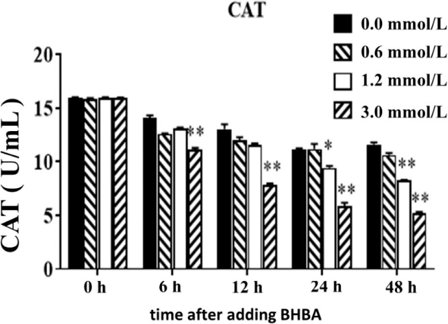 Effect of different concentrations of β-hydroxybutyrate acid (BHBA) on catalase (CAT) in hepatocytes at different time points
* – significant CAT concentration difference between BHBA concentration groups and the 0.0 mmol·L−1 BHBA concentration group (P-value <0.05) at the same time point; ** – highly significant difference (P-value <0.01)