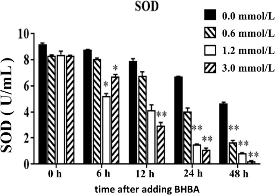 Effect of different concentrations of β-hydroxybutyrate acid (BHBA) on superoxide dismutase (SOD) in hepatocytes at different time points
* – significant SOD concentration difference between BHBA concentration groups and the 0.0 mmol·L−1 BHBA concentration group (P-value < 0.05) at the same time point; ** – highly significant difference (P-value < 0.01)
