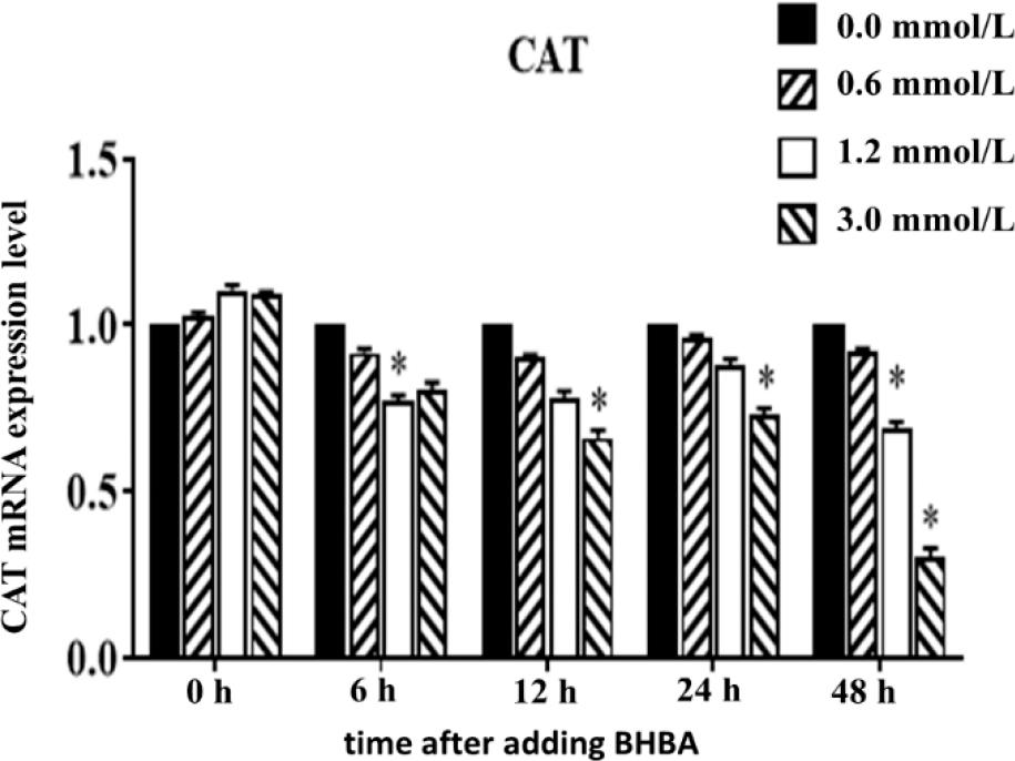 Effect of different concentrations of β-hydroxybutyrate acid (BHBA) on the gene expression level of catalase (CAT) messenger RNA (mRNA) in hepatocytes at different time points
* – significant CAT expression difference between BHBA concentration groups and the 0.0 mmol L−1 BHBA concentration group (P-value < 0.05) at the same time point; ** – highly significant difference (P-value < 0.01)