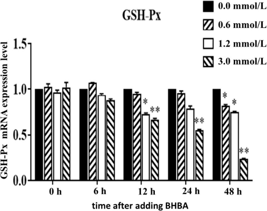 Effect of different concentrations of β-hydroxybutyrate acid (BHBA) on the expression of glutathione peroxidase (GSH-Px) messenger RNA (mRNA) in hepatocytes at different time points
* – significant GSH-Px expression difference between BHBA concentration groups and the 0.0 mmol·L−1 BHBA concentration group (P-value < 0.05) at the same time point; ** – highly significant difference (P-value < 0.01)