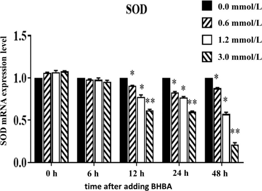 Effect of different concentrations of β-hydroxybutyrate acid (BHBA) on the expression of superoxide dismutase (SOD) messenger RNA (mRNA) in hepatocytes at different time points
* – significant SOD expression difference between BHBA concentration groups and the 0.0 mmol·L−1 BHBA concentration group (P-value < 0.05) at the same time point; ** – highly significant difference (P-value < 0.01)