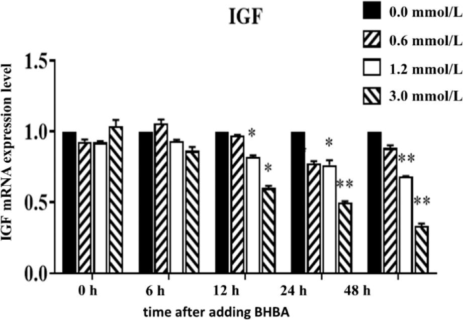 Effect of different concentrations of β-hydroxybutyrate acid (BHBA) on the expression of insulin-like growth factor (IGF) messenger RNA (mRNA) in hepatocytes at different time points
* – significant IGF expression difference between BHBA concentration groups and the 0.0 mmol L−1 BHBA concentration group (P-value < 0.05) at the same time point; ** – highly significant difference (P-value < 0.01)