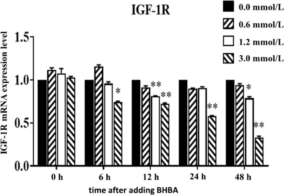 Effect of different concentrations of β-hydroxybutyrate acid (BHBA) on the expression of insulin-like growth factor 1 receptor (IGF-1R) messenger RNA (mRNA) in hepatocytes at different time points
* – significant IGF-1R expression difference between BHBA concentration groups and the 0.0 mmol·L−1 BHBA concentration group (P value < 0.05) at the same time point; ** – highly significant difference (P-value <0.01)