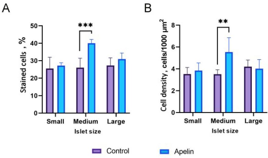 (A) Stained alpha cell percentage and (B) alpha cell density mean values (with standard deviation-whiskers) in small, medium and large islets in the control (n = 6) and apelin-treated (n = 6) rat groups. Asterisks (*) indicate significant differences between control and apelin treated groups within like-sized subgroups of islets (** – P-value < 0.01; *** – P-value < 0.001)