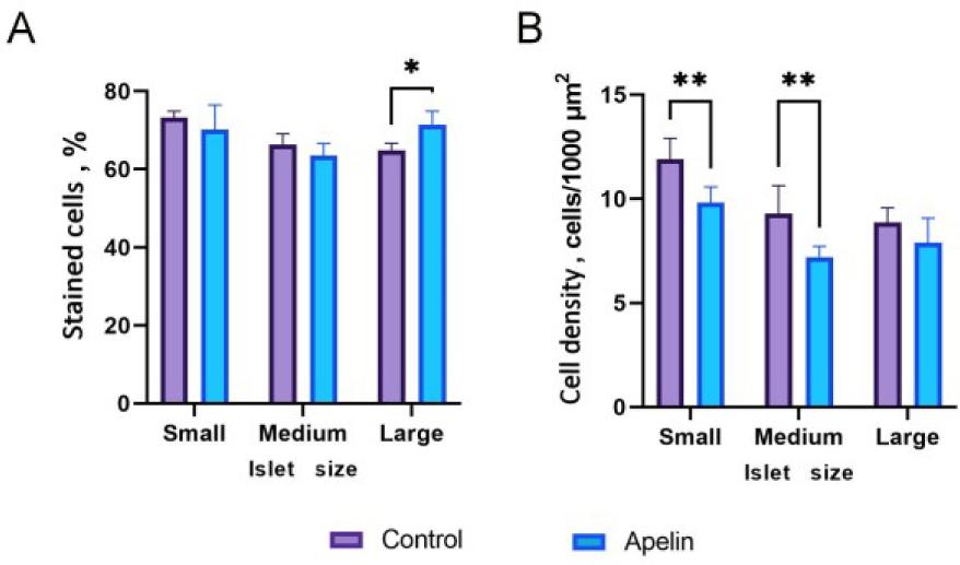 (A) Stained beta cell percentage and (B) beta cell density mean values (with standard deviation-whiskers) in small, medium and large islets in the control (n = 6) and apelin-treated (n = 6) rat groups. Asterisks (*) indicate significant differences between the control and apelin-treated groups in like-sized subgroups of islets (* – P-value < 0.05; ** – P-value < 0.01)