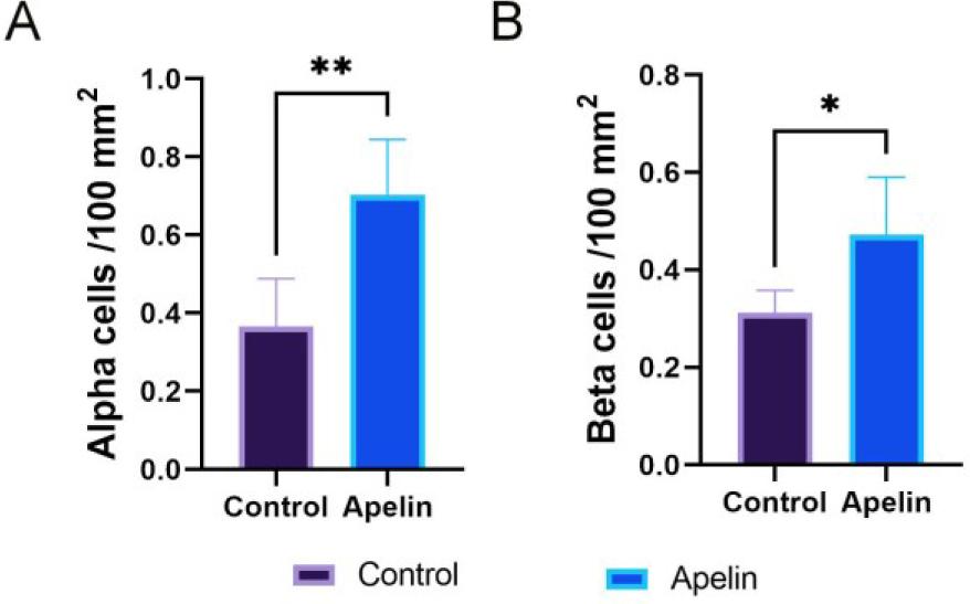 (A) Alpha cell number per 100 µm2 of pancreas and (B) beta cell number per 100 µm2 of pancreas outside of the pancreatic islets mean values (with standard deviation-whiskers). Asterisks (*) indicate significant differences between the control (n = 6) and apelin-treated (n = 6) groups (* – P-value < 0.05; ** – P-value < 0.01)