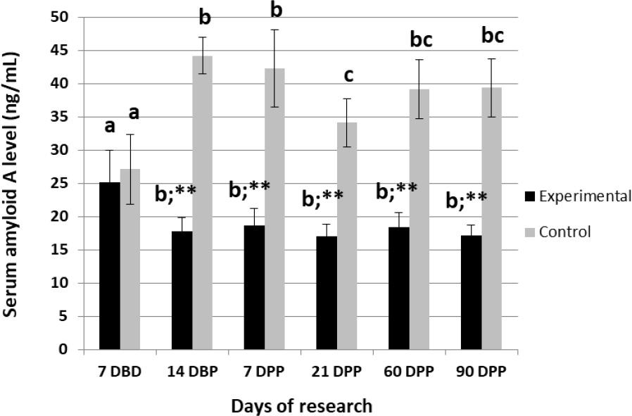 The serum amyloid A level in the peripheral blood of cows at various periods of lactation DBD – days before drying; DBP – days before parturition; DPP – days postpartum. Experimental – cows with probiotic (n = 10); Control – cows without probiotic (n = 10); ** – statistical significance at – P-value ≤ 0.01 with respect to the control; a-c – statistical differences between the results for the material collected at different times in the group (P-value ≤ 0.01)
