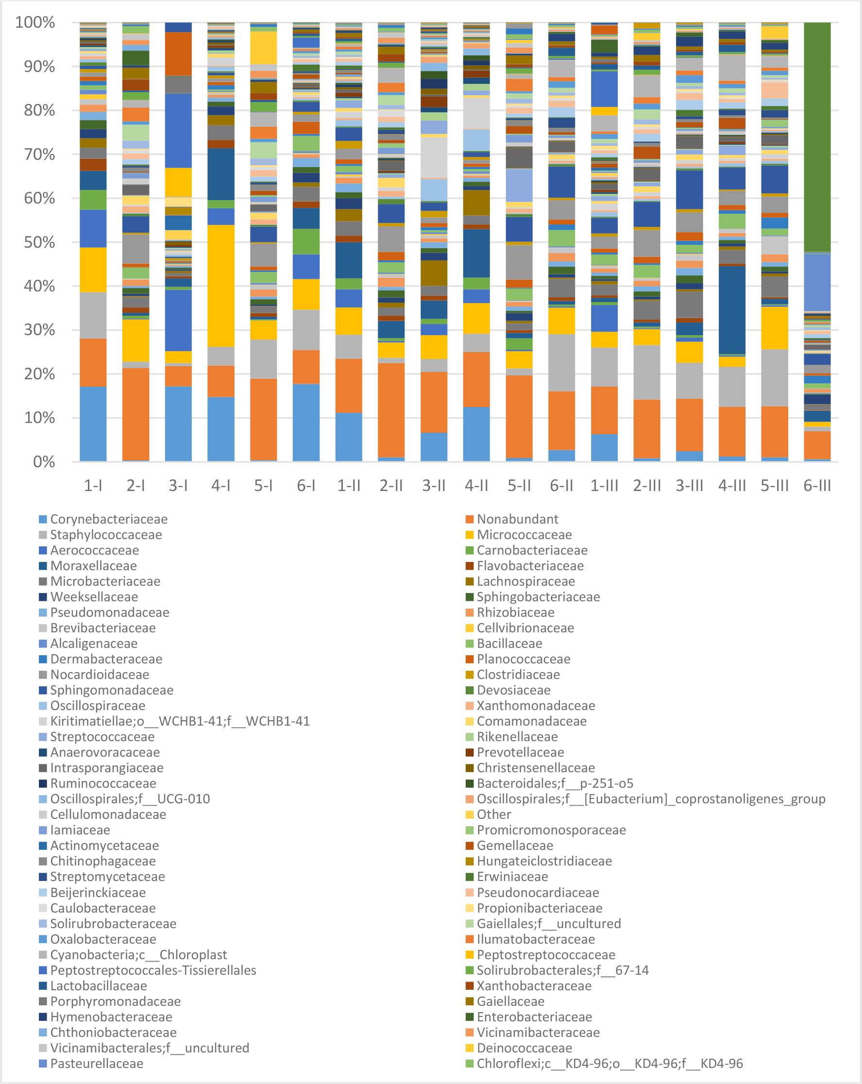 Prevalent bacterial families in foals’ conjunctival microbiota identified in individual animals. 1–6 – individual foals; I – first sampling time point (within 12 h of birth); II – second sampling time point (after the first month of life); III – third sampling time point (after the second month of life)