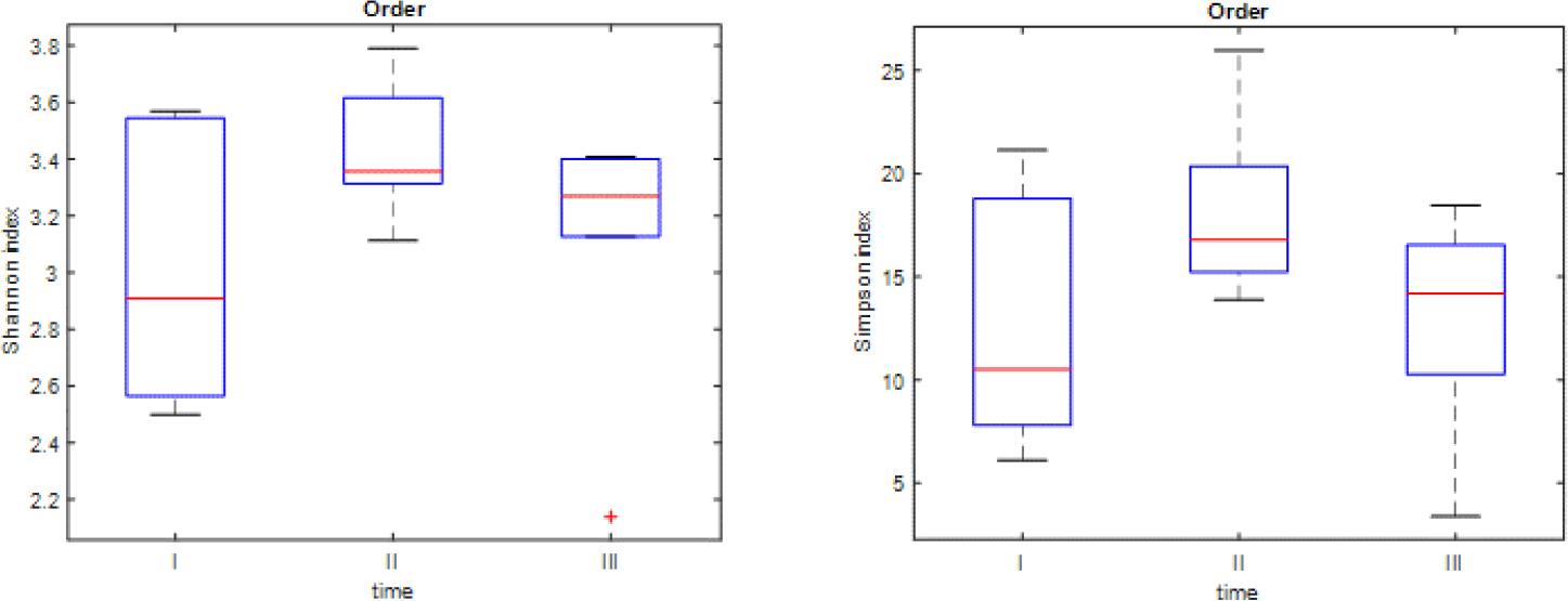 Box plots presenting Shannon and Simpson indices at the order level. The red line represents the median for all six foals