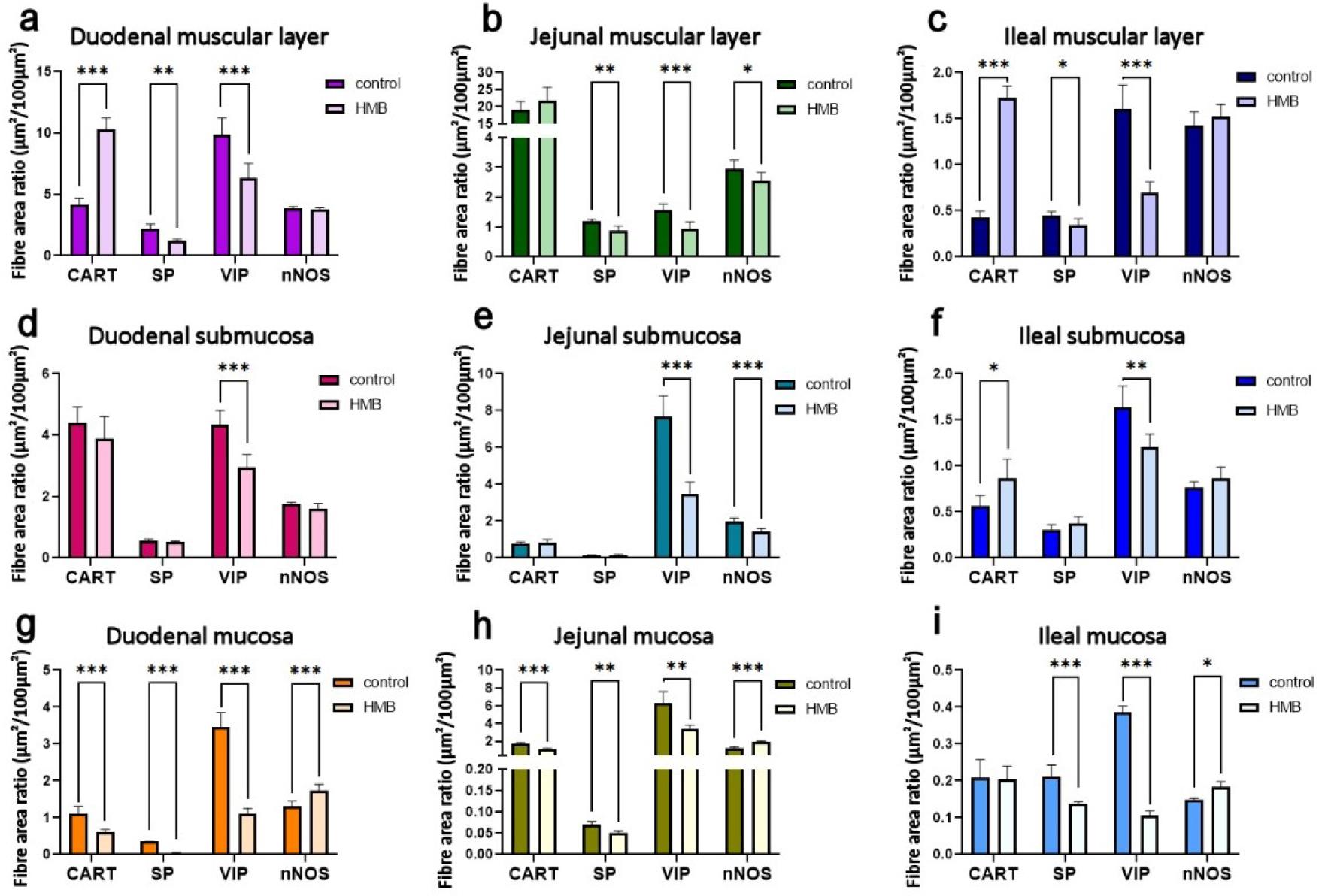 Prenatal effect of β-hydroxy-β-methylbutyrate (HMB) supplementation on the area occupied by cocaine-and-amphetamine-regulated transcript (CART)-immunoreactive (IR), substance P (SP)-IR, vasoactive intestinal peptide (VIP)-IR, and neuronal nitric oxide synthase (nNOS)-IR nerve fibres in the muscular layer of the duodenum, jejunum and ileum (a, b and c), the submucosa of the duodenum, jejunum and ileum (d, e and f), and the mucosa of the duodenum, jejunum and ileum (g, h and i) in newborn piglets prenatally supplemented with HMB and control piglets. * – significant difference between the control and HMB groups at P-value < 0.05; ** – at P-value < 0.01; *** – at P-value < 0.001