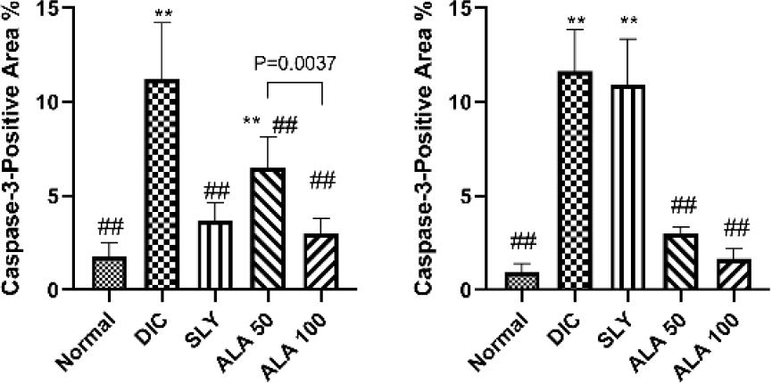 Image analysis data to evaluate the area corresponding to caspase-3 protein expression in the organs of different experimental groups of Wistar rats subjected to hepatorenal toxic insult by diclofenac sodium (DIC) after being administered or denied protective compounds. A – caspase-3 immunostaining expressed as area % in liver tissues. B – caspase-3 immunostaining expressed as area % in kidney tissues. Data are expressed as mean +/− standard deviation. DIC – diclofenac; SLY – silymarin at 100 mg/kg body weight (b.w.); ALA 50 – α-lipoic acid at 50 mg/kg b.w.; ALA-100 – α-lipoic acid at 100 mg/kg b.w.; * and ** – significant difference vs normal control group at P-value ≤ 0.05 and P-value ≤ 0.005, respectively; ## – significant difference vs DIC group at P-value ≤ 0.005