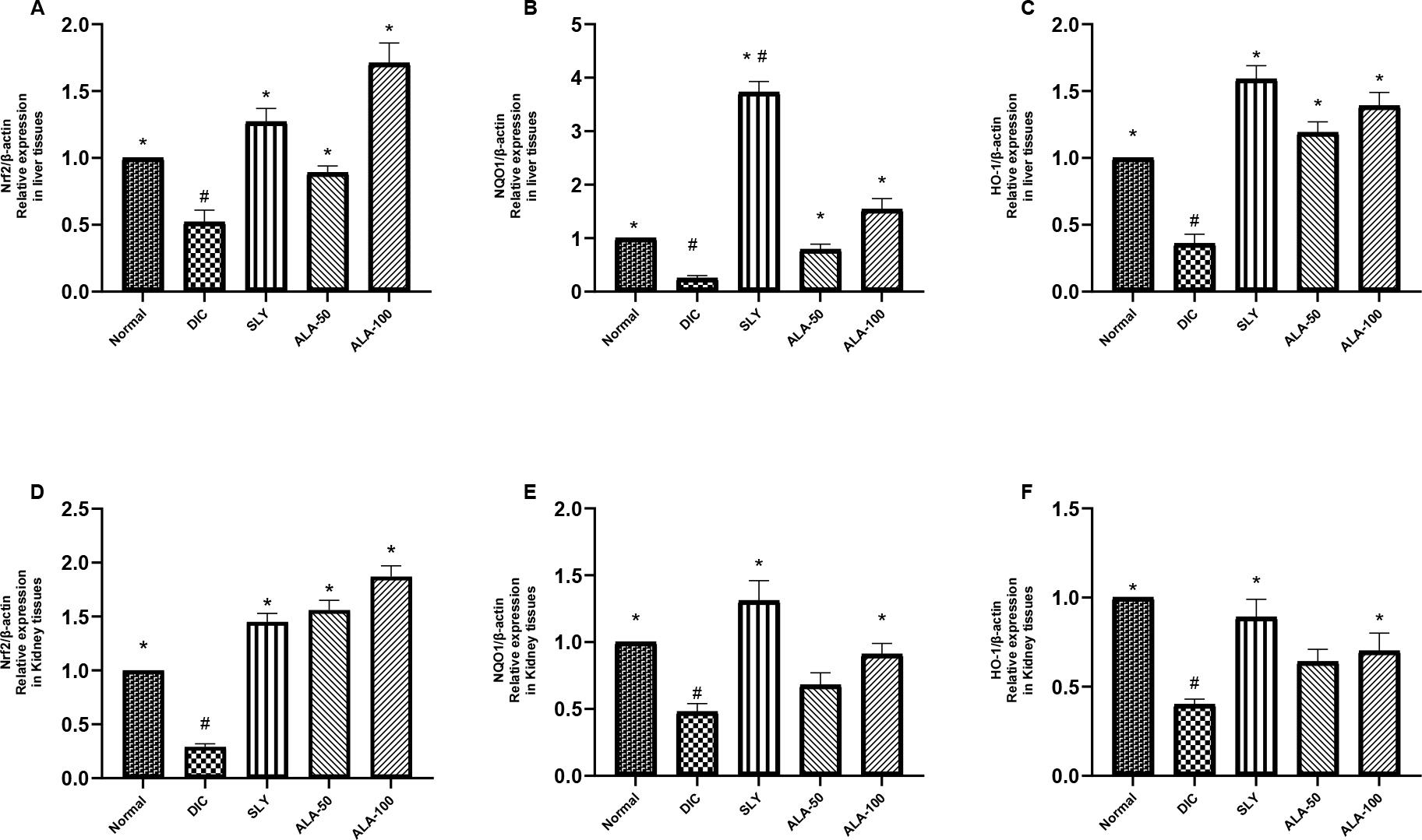 Alpha-lipoic acid (ALA) effects on the messenger RNA expression levels of genes in the liver and kidney tissues of Wistar rats subjected to hepatorenal toxic insult by diclofenac sodium (DIC) after being administered or denied protective compounds. A and D – effect on nuclear factor erythroid 2-related factor 2 (Nrf2). B and E – effect on nicotinamide adenine (phosphate) reduced form : quinone oxidoreductase 1 (NQO1). C and F – effect on haem oxygenase 1 (HO-1). Data are expressed as mean ± standard deviation. n = 7 rats/group; SLY – silymarin at 100 mg/kg body weight (b.w.); ALA 50 – α-lipoic acid at 50 mg/kg b.w.; ALA 100 – α-lipoic acid at 100 mg/kg b.w.; * and ** significant difference vs normal control group at P-value ≤ 0.05 and P-value ≤ 0.005, respectively; # – significant difference vs DIC group at P-value ≤ 0.05
