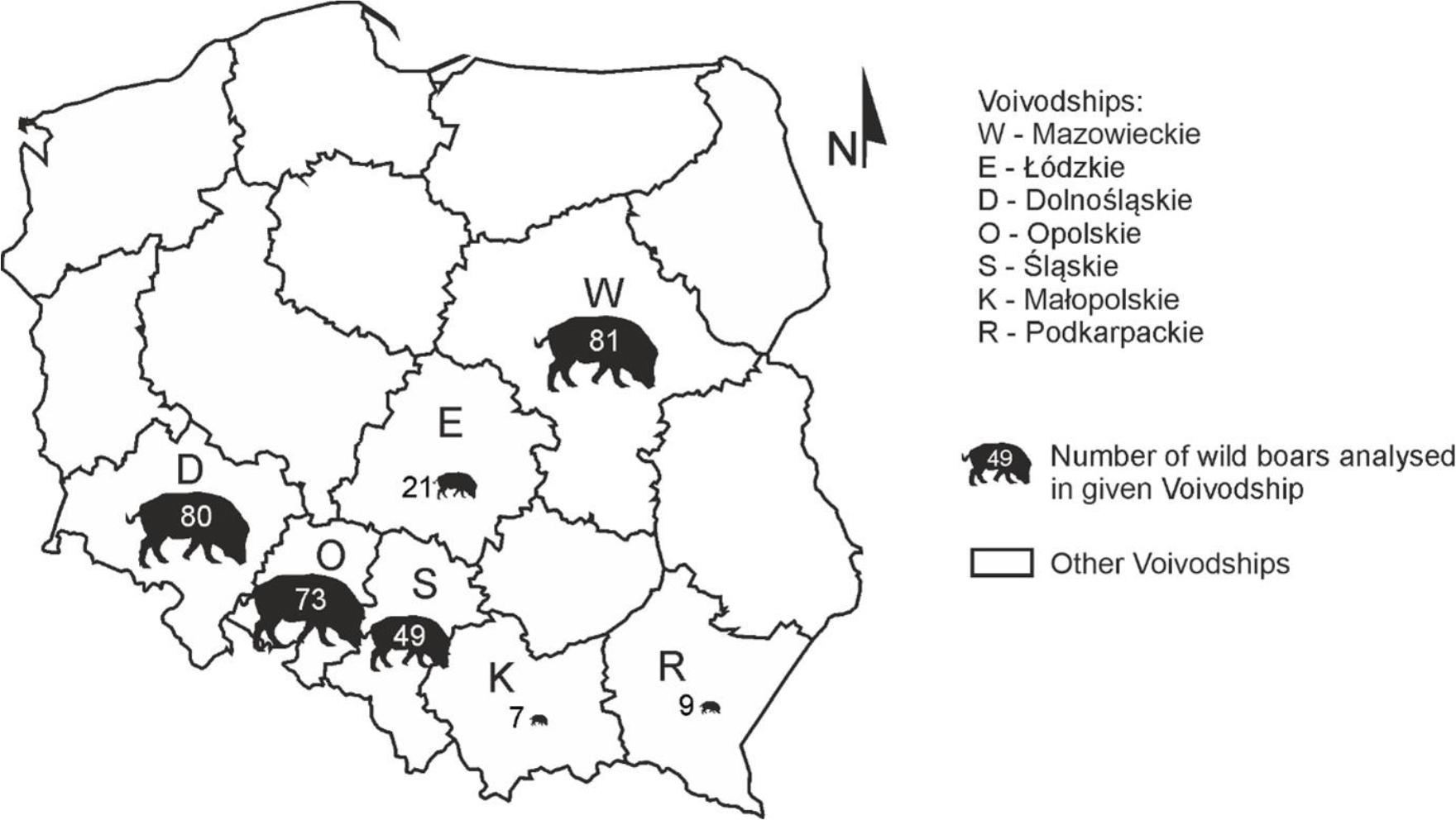Number of wild boars analysed by voivodeship in Poland