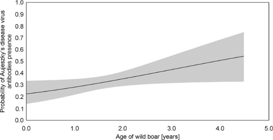 Probability of Aujeszky’s disease virus antibody presence in wild boar in given (based on the highest ranked model). For AGE: β = 0.32, standard error (SE) = 0.16, χ2 = 4.14, P-value = 0.042. For intercept: β = -1.27, SE = 0.29, χ2 = 19.29, P-value < 0.001)
