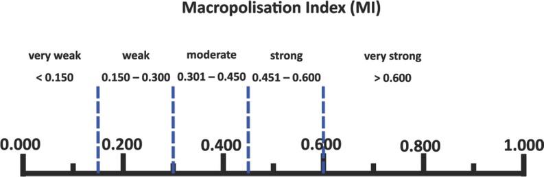 Macropolization index valueSource: Own study