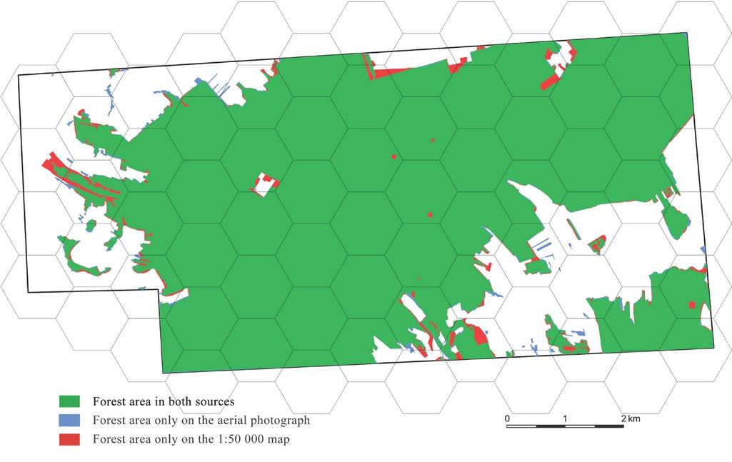Test polygon A, map of the differences in forests coverage between the aerial photograph and the 1:50 000 GUGIK 65 mapSource: Own work