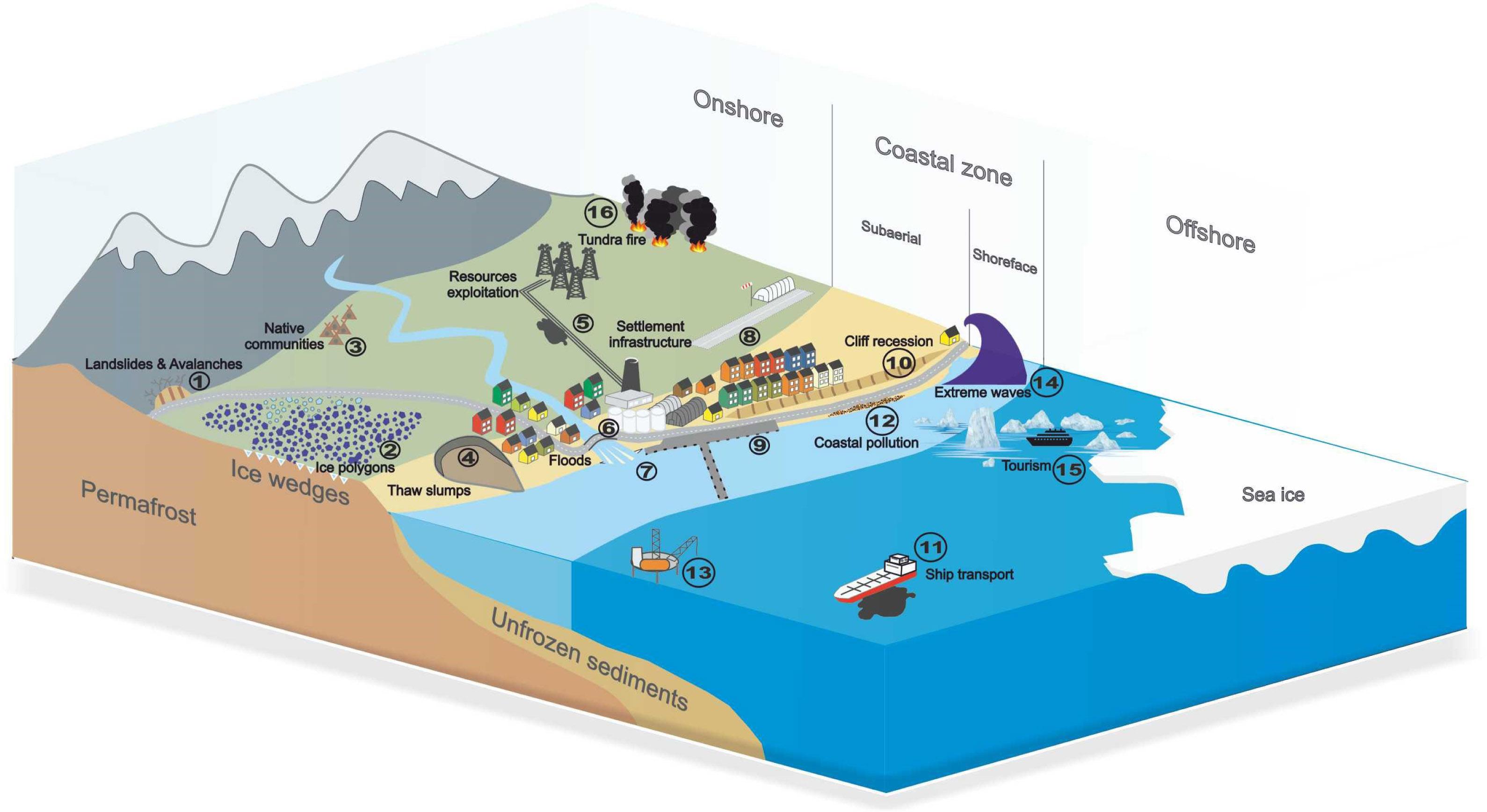 Anthropogenic and environmental interactions affecting the Arctic coast1. Landslides caused by heavy rainfall (Prno et al. 2011) 2. Destruction of roads caused by disturbance of the permafrost regime (Walker et al. 2015) 3. Indigenous peoples’ migration due to reduced hunting areas (Gorkhovich 2014) 4. Thaw slumps and mudflows in response to increased permafrost thaw (Lantuit et al. 2011, Lewkowicz & Way 2019) 5. Oil and gas pipeline leaks 6. Destructive effects of flooding 7. Harbour basin shallows due to increased sedimentation (Mercier & Laffly 2005) 8. Destruction of asphalt and concrete surfaces by deepening the active layer of permafrost (McFadden & Bennett 1999; Jørgensen & Andreasen 2007) 9. Intensified undercutting & erosion of the coastline, destruction of port infrastructure (Strzelecki et al. 2017; Jaskólski et al. 2018a); 10. Communication routes and transport infrastructure threatened by mass movements (Prno et al. 2011; Jaskólski et al. 2017) 11. Increasing use of the north-east passage and north-west passage (Ermida 2014; Stephen 2018) 12. Pollution & littering of the coast (Bergmann et al. 2017; Jaskólski et al. 2018b) 13. Increasing exploitation of natural resources (Ermida 2014; Stephen 2018) 14. Extreme waves destroying infrastructure (Dahl-Jensen et al. 2004; Buchwał et al. 2015) 15. Increased tourism negatively affecting the Arctic environment (Dawson, Johnston & Stewart 2017) 16. Tundra fires (Jones et al. 2015)