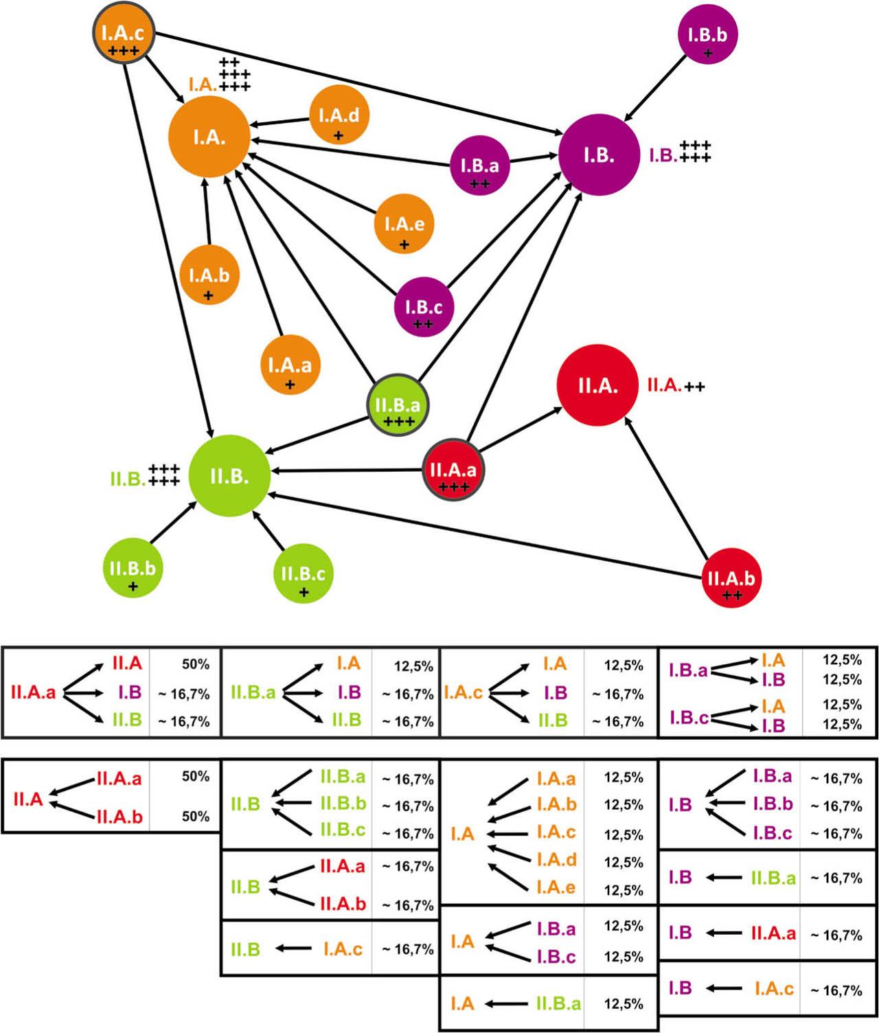 Map of interdependencies between strategic goals and activitiesSource: authors’ elaboration