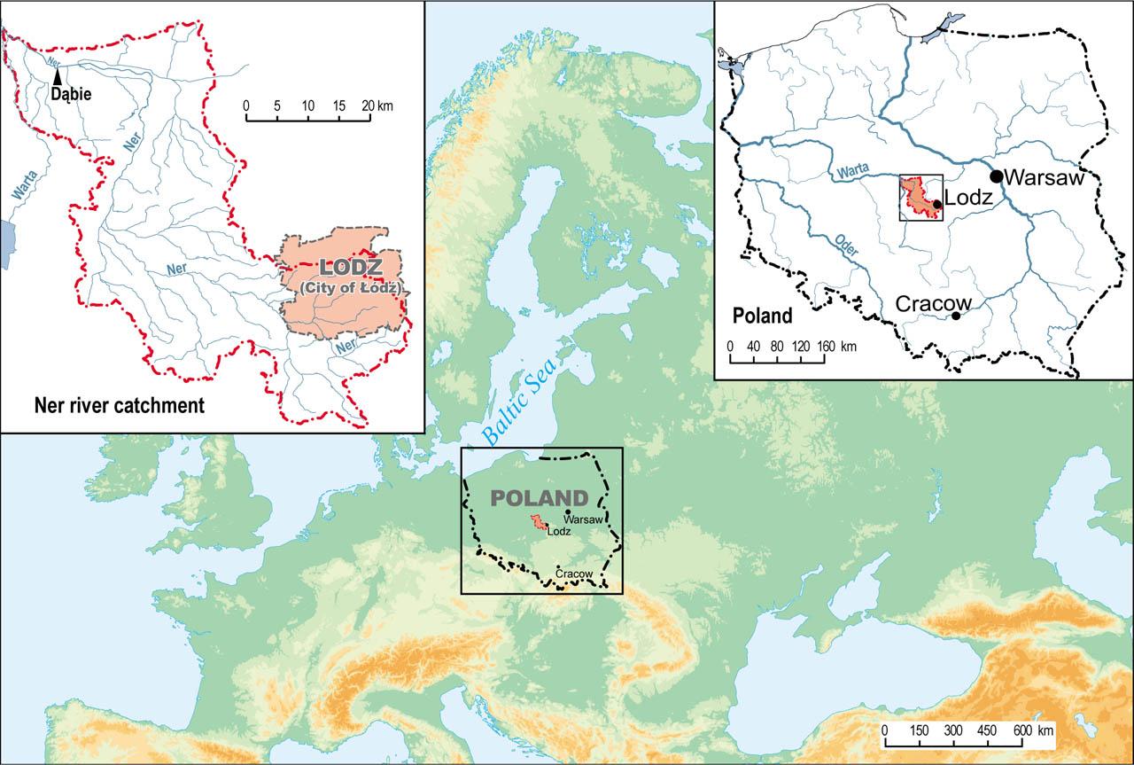 Location of Ner catchment area, showing Dabie (Dąbie) water gauge and the city of Lodz (Łódź)Source: own elaboration