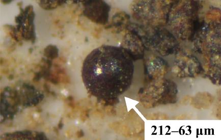 Iron microspherule separated from alluvia (photo P. Przepióra 2019)