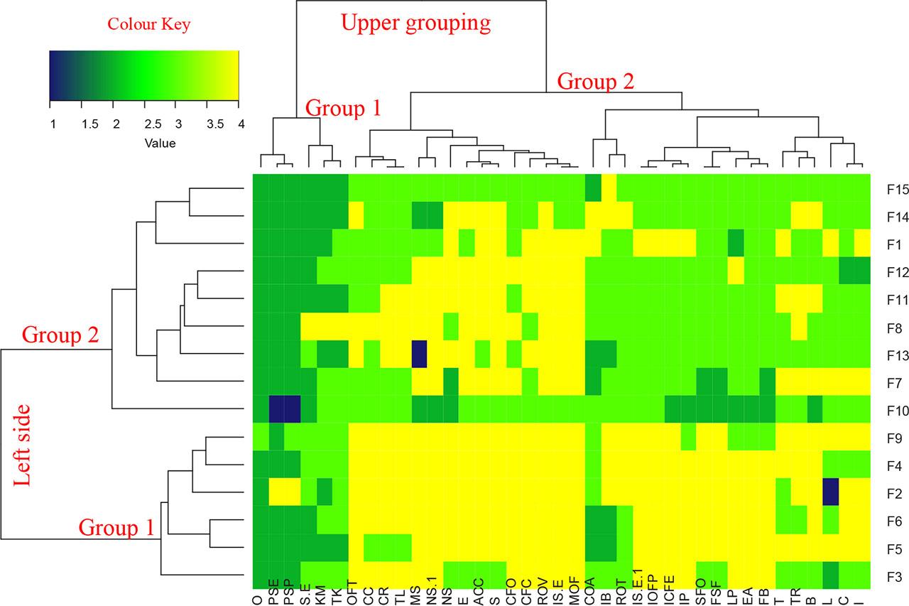 Bootstrap analysis of empowerment in Ventaquemada according to Ward's method. Organisation (O), participation in solidarity entities (PSE), participation in social policy (PSP), self-esteem (S/E), knowledge of management (KM), technical knowledge (TK), optimisation of family time (OFT), critical capacities (CC), conflict resolution (CR), training level (TL), management skills (MS), negotiation skills (NS), network support (NS), exchange (E), accompaniment (ACC), support (S), capacity for organisation (CFO), capacity for choice (CFC), reinforcement of values (ROV), increase in self-esteem (IS/E), mastery of fears (MOF), capacity for analysis (COA), increase in benefits (IB), reinforcement of technology (ROT), implementation of family projects (IOFP), increased capacity for expression (ICFE), increased participation (IP), support for organisation (SFO), support for structure (SFS), local policies (LP), economic activities (EA), family benefits (FB), technology (T), task relief (TR), buildings (B), land (L), capital (C), income (I), increased self-esteem (IS/E)Source: own study