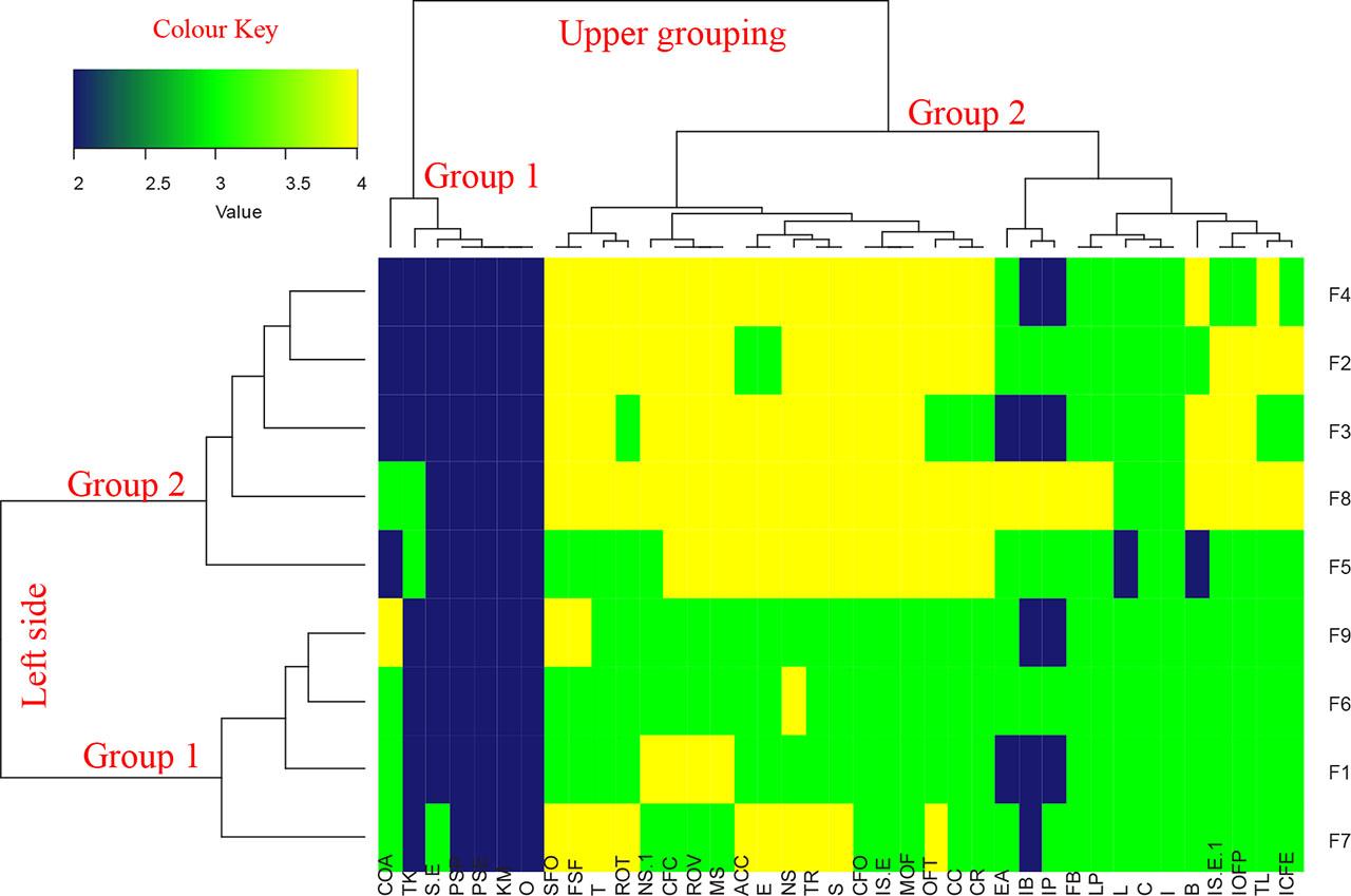 Bootstrap analysis of the empowerment of the families of Jericó according to Ward's methodSource: own study